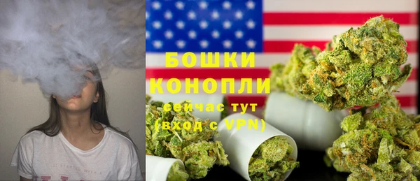 ПСИЛОЦИБИНОВЫЕ ГРИБЫ Белоозёрский