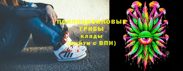 ПСИЛОЦИБИНОВЫЕ ГРИБЫ Белоозёрский