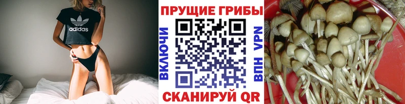 mega зеркало  Печора  Галлюциногенные грибы GOLDEN TEACHER 